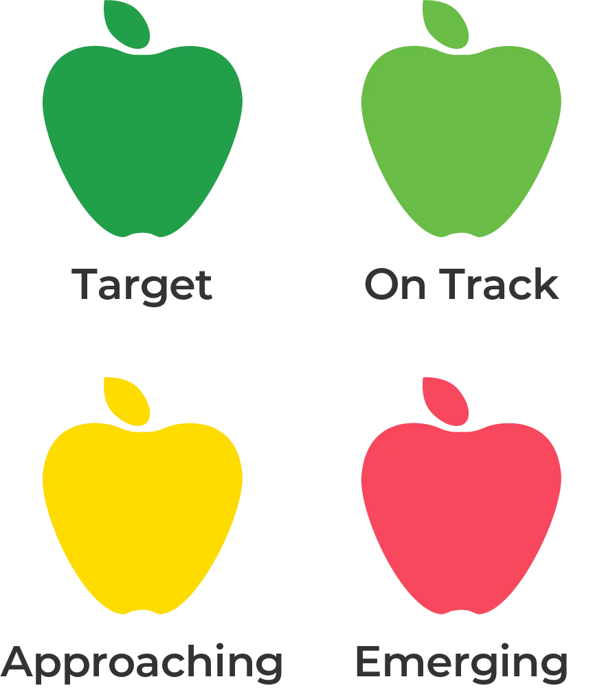 Target, On Track, Approaching, Emerging